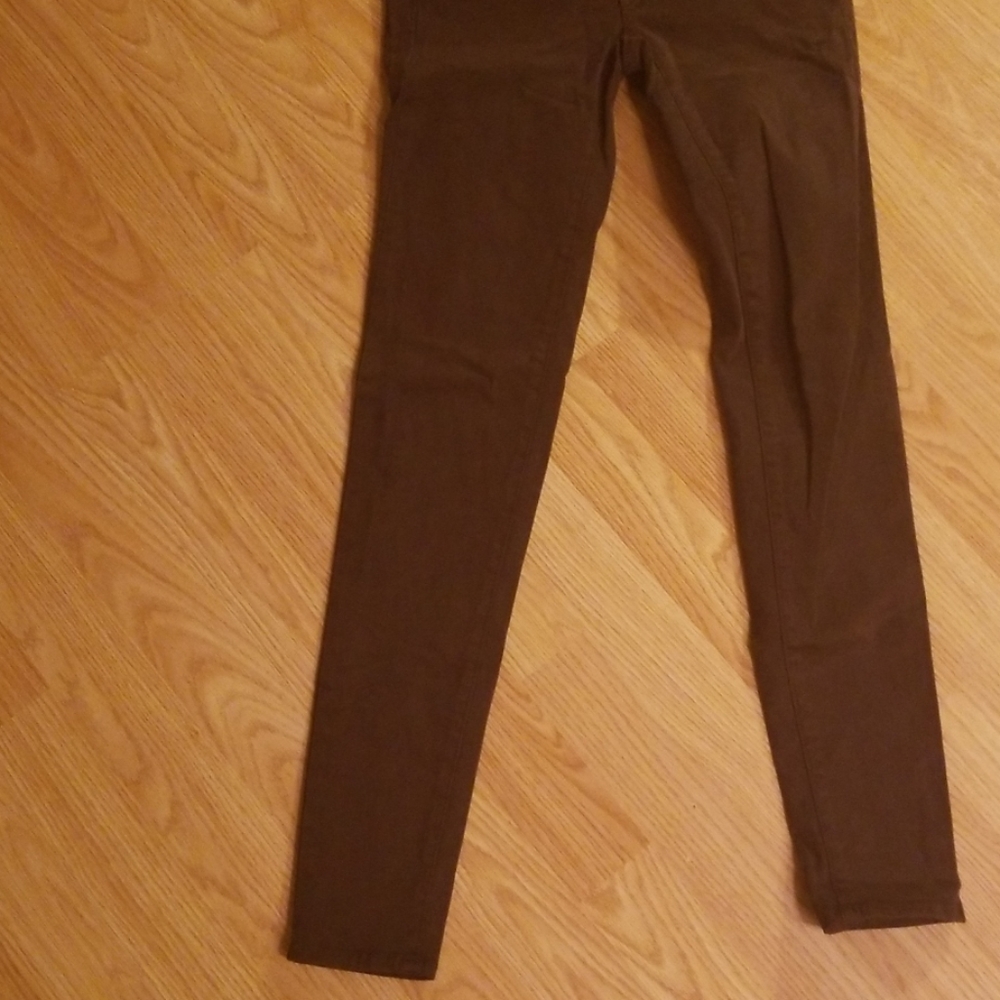 Panta